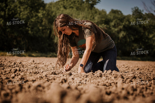 Planting 2763