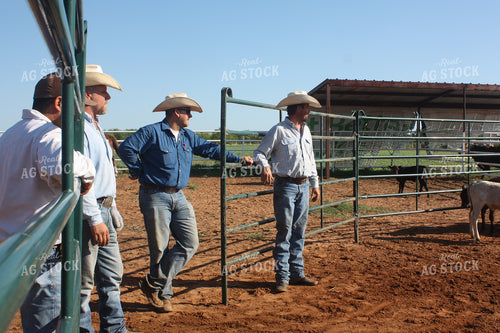 Ranchers 205016