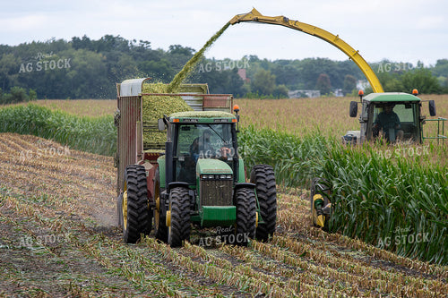 Silage Harvest 50412