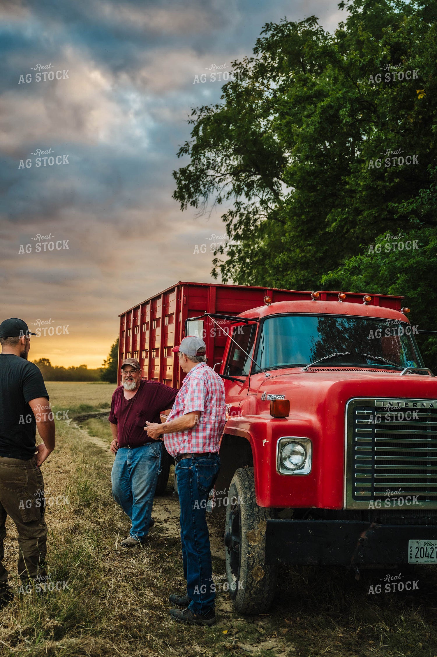 Farmers Talking by Grain Truck 115517