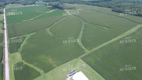 Aerial View of Corn Field 85027
