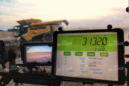 Weight Monitor 141056