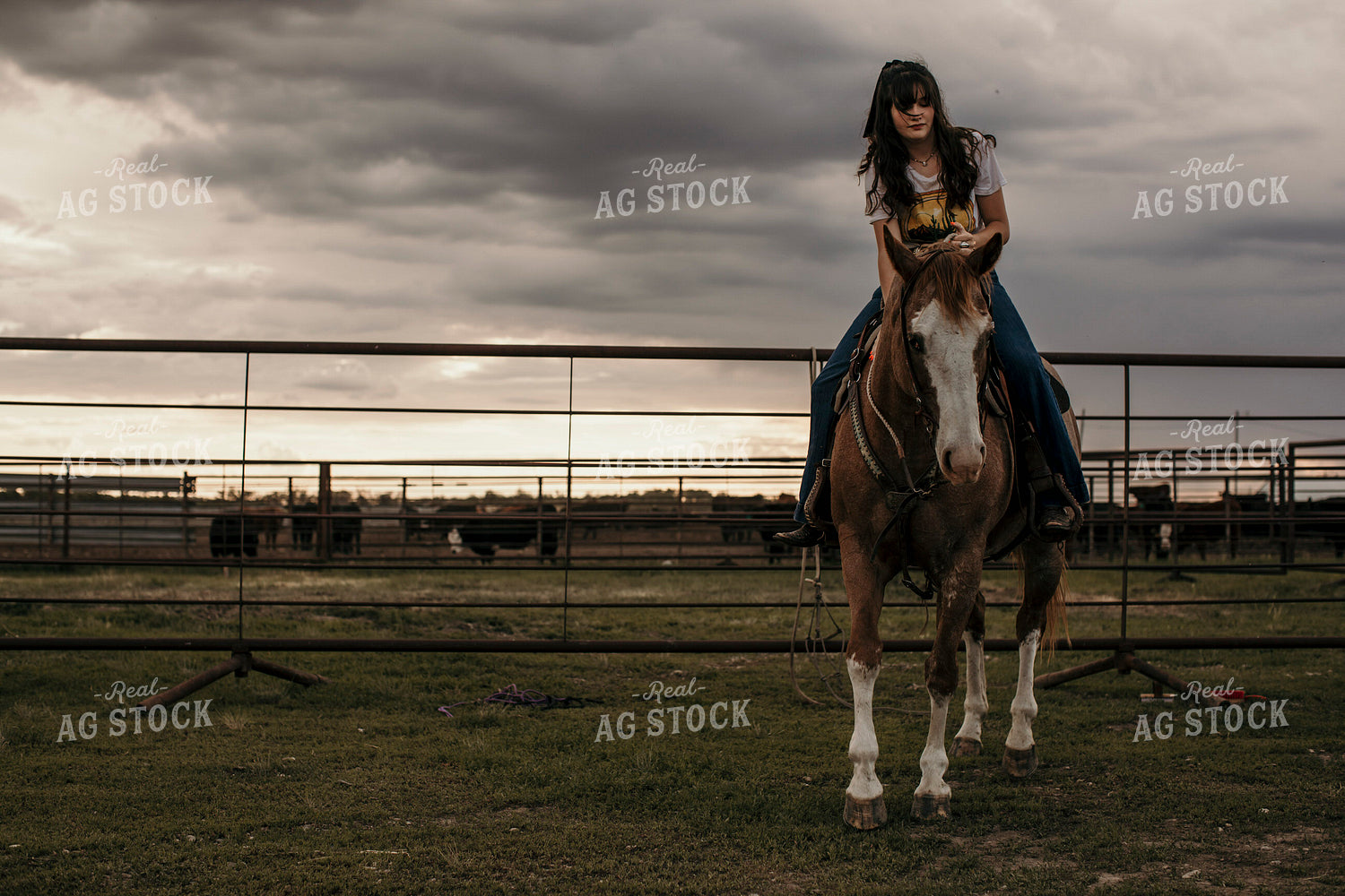 Feedyard 3064