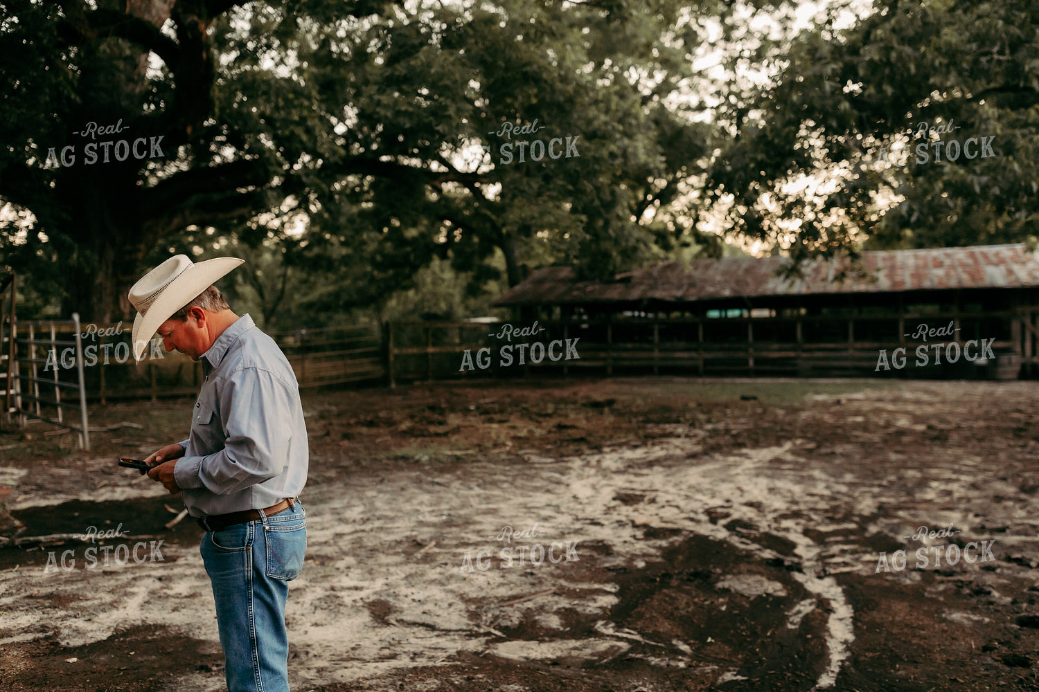 Rancher Using Phone 203014