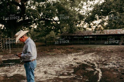 Rancher Using Phone 203014