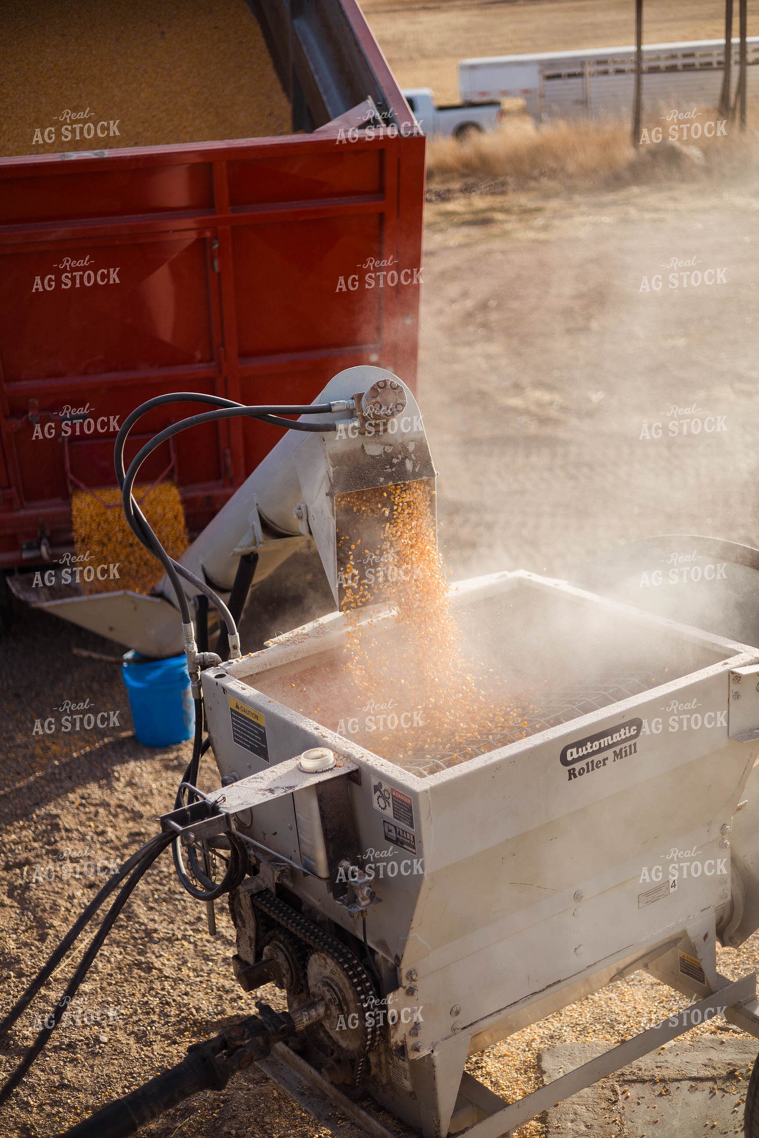 Grinding Corn to Feed Cattle 97282