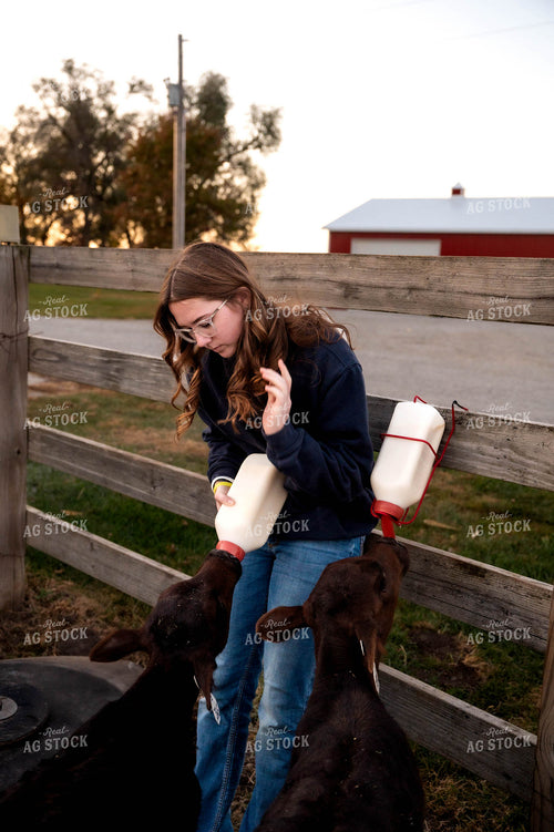 Female Farmer Feeding Bottle Calves 115513