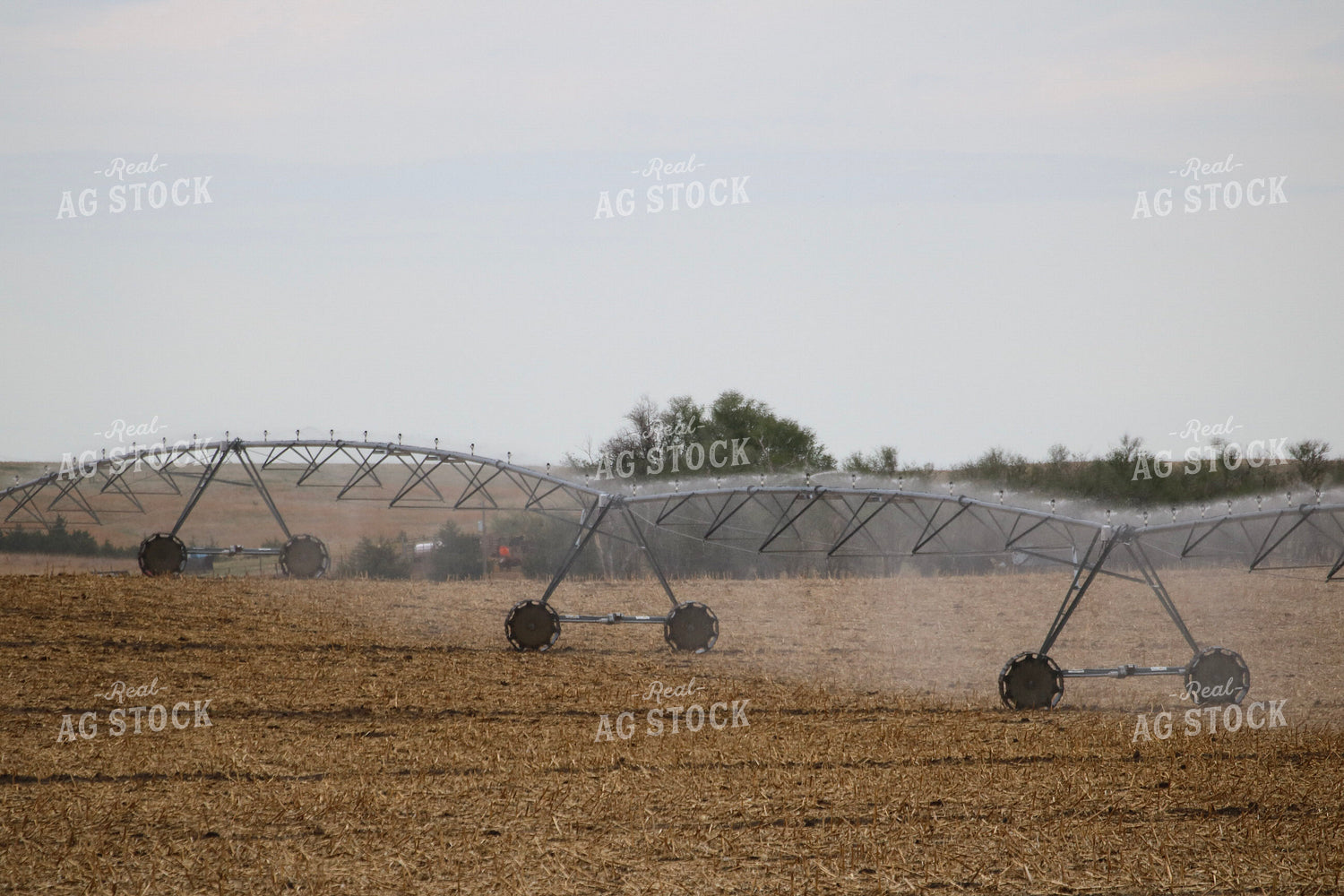 Irrigation 82410