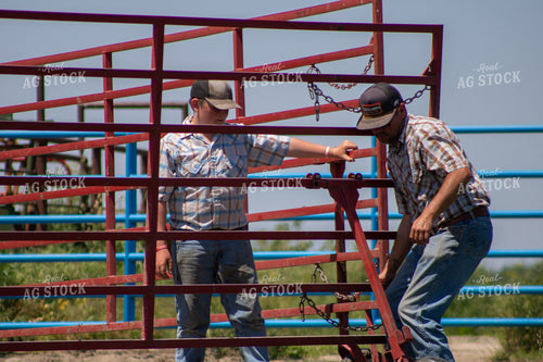 Cattle Producers Setting Up Corral 214283