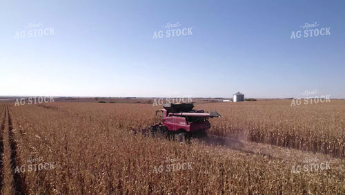 Corn Harvest 114083