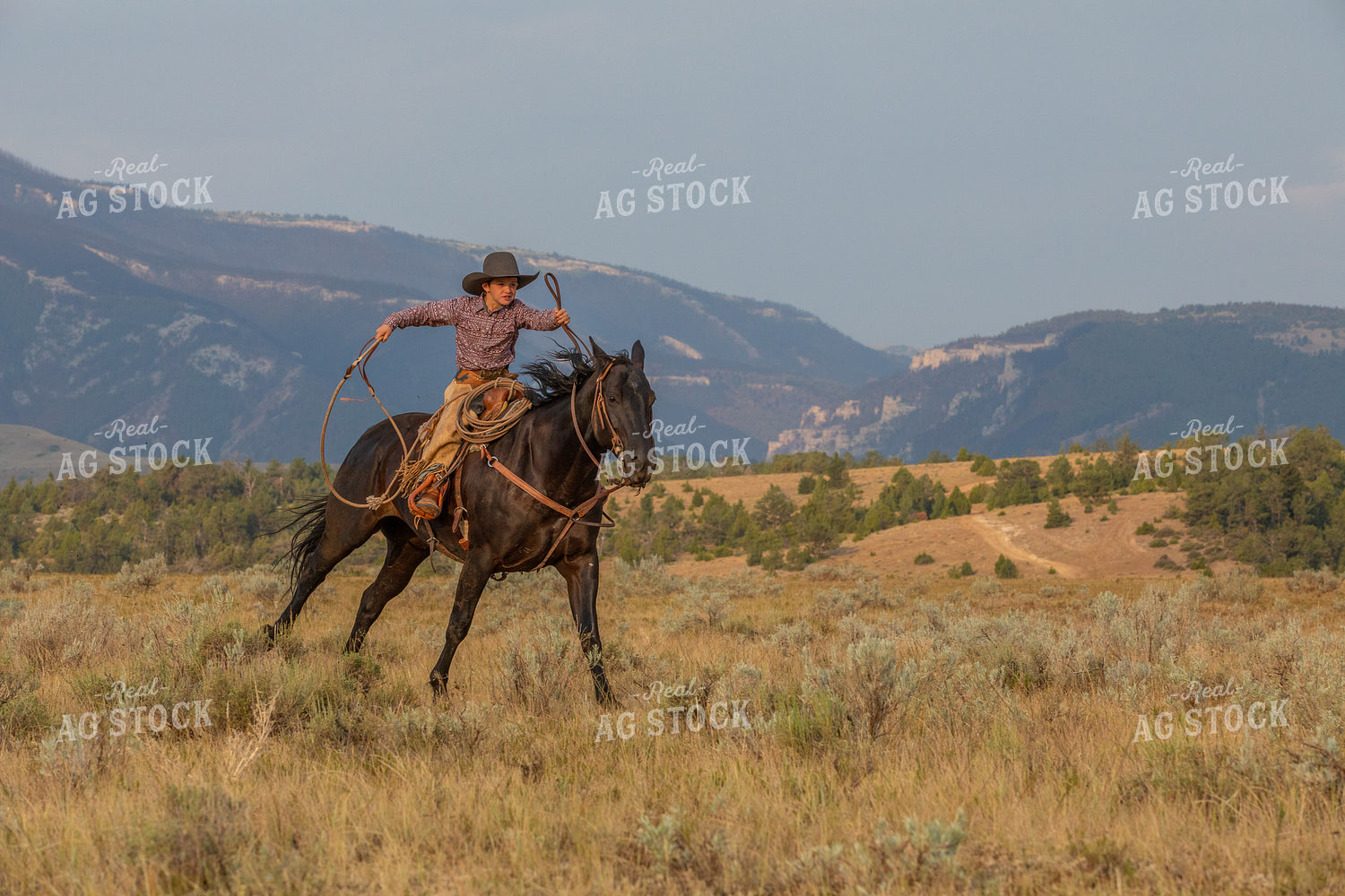 Young Cowboy Riding Horse 290056