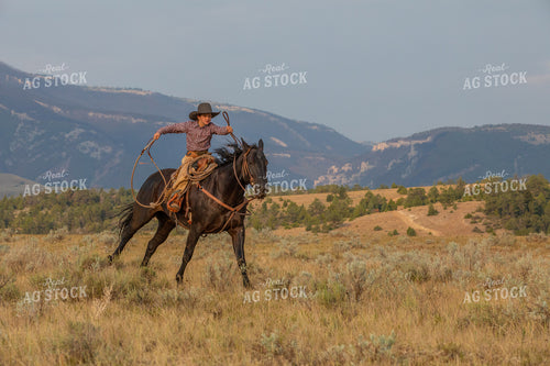 Young Cowboy Riding Horse 290056