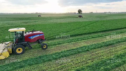 Cutting Alfalfa Field Drone 56405