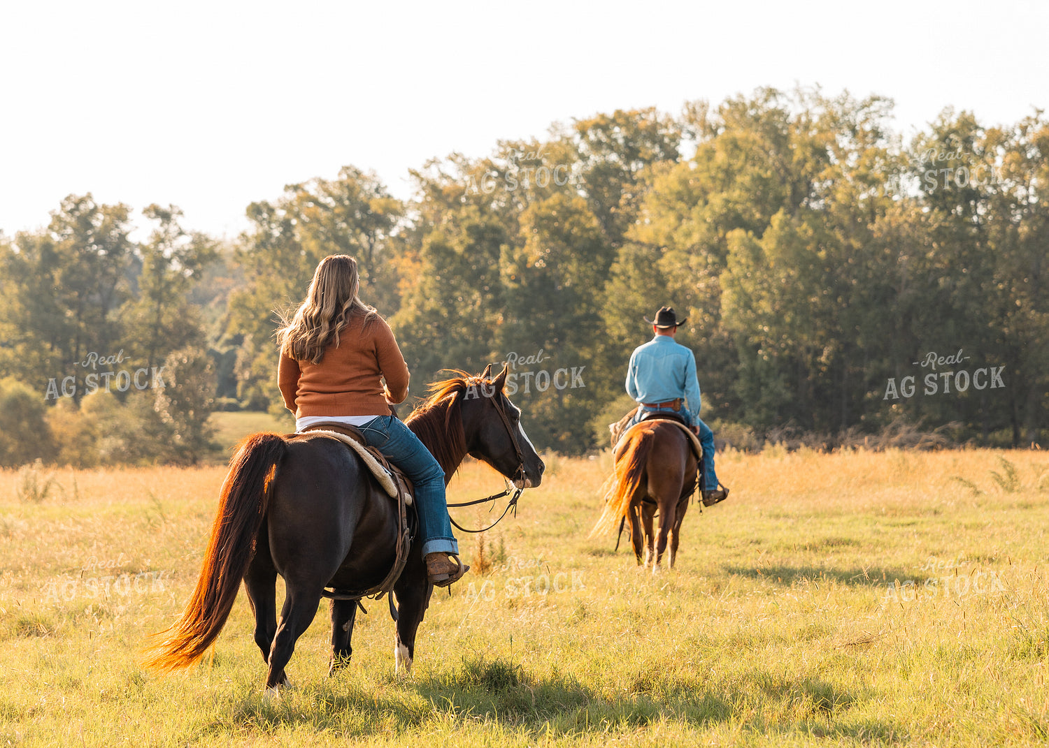Ranchers on Horseback 256008