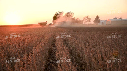 Combine and Grain Cart Harvesting Soybeans at Sunset - 527