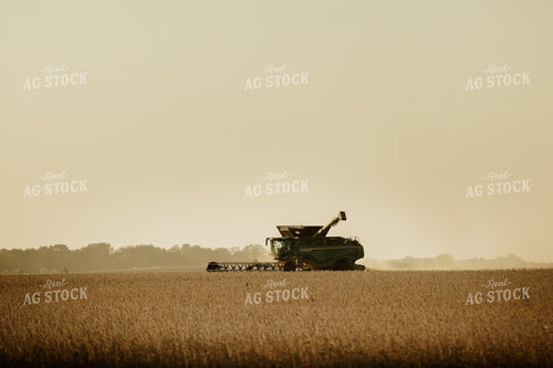 Soybean Harvest 9226
