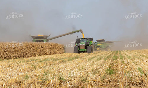 Farmer Husking Sweet Corn 79347