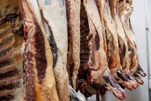 Pork Carcass 52856