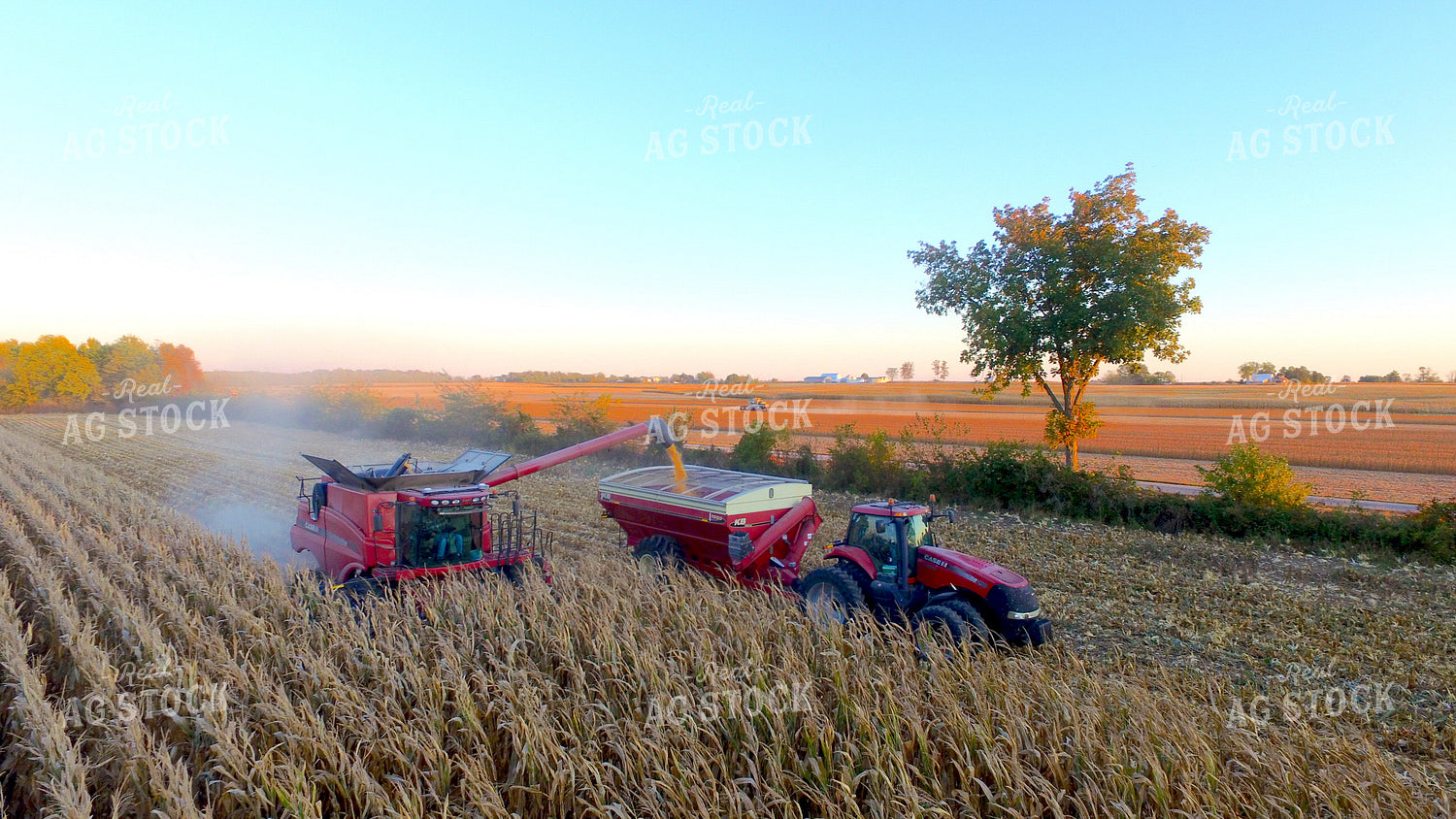 Combine Filling up Grain Cart with Corn 85013