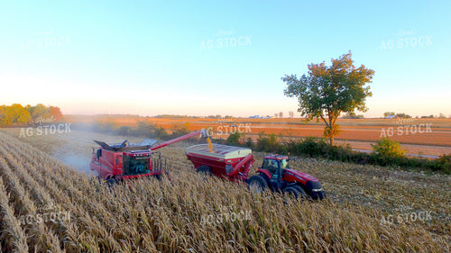 Combine Filling up Grain Cart with Corn 85013