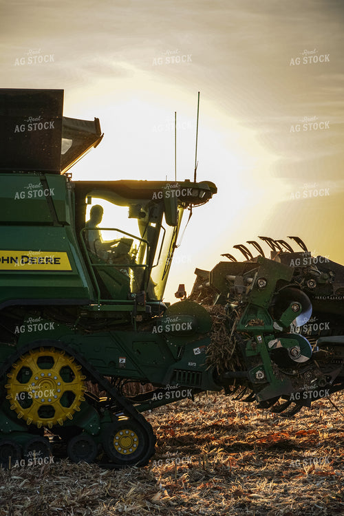 Corn Harvest 273003