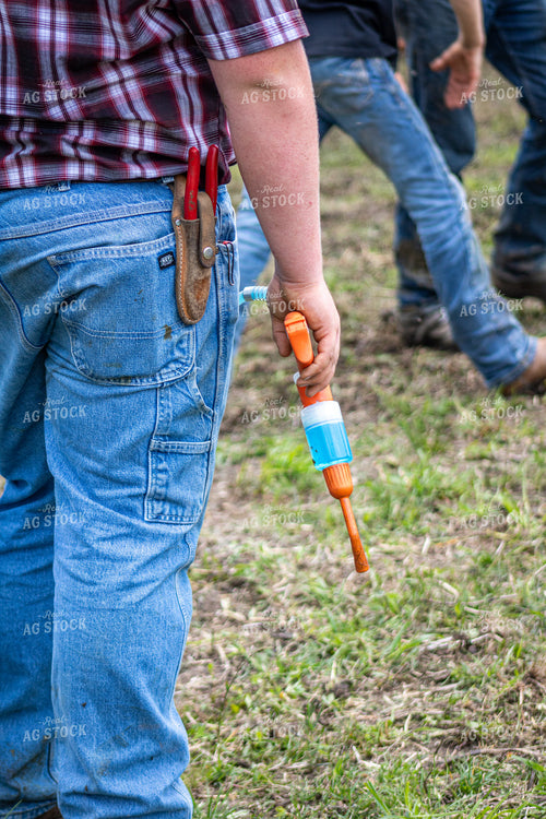Ranchers Working Cattle 214201