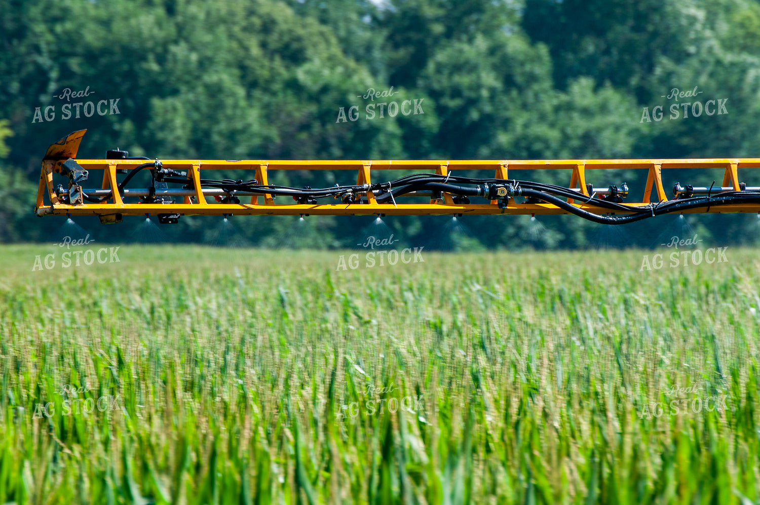 Sprayer Spraying Summer Corn 103009