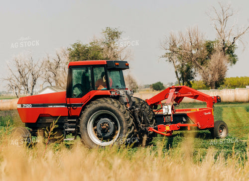 Mower Conditioner in Hay Field 61062