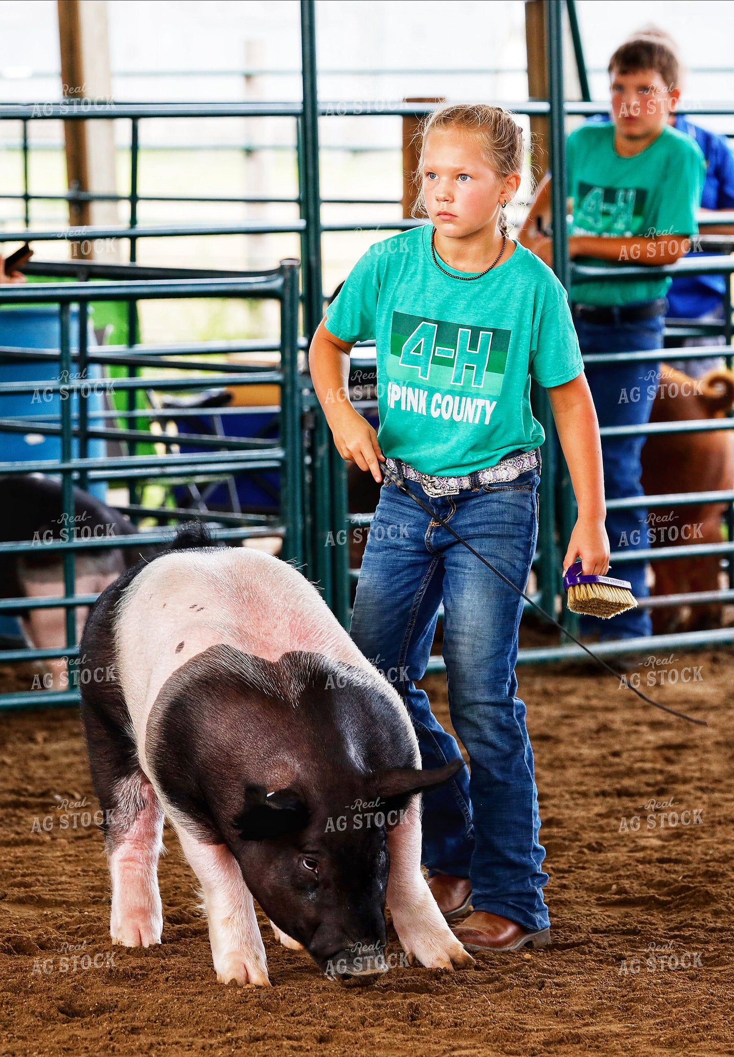 Youth Pig Show 141707
