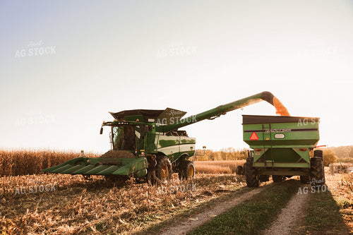 Combine Unloading Corn into Grain Cart 52473