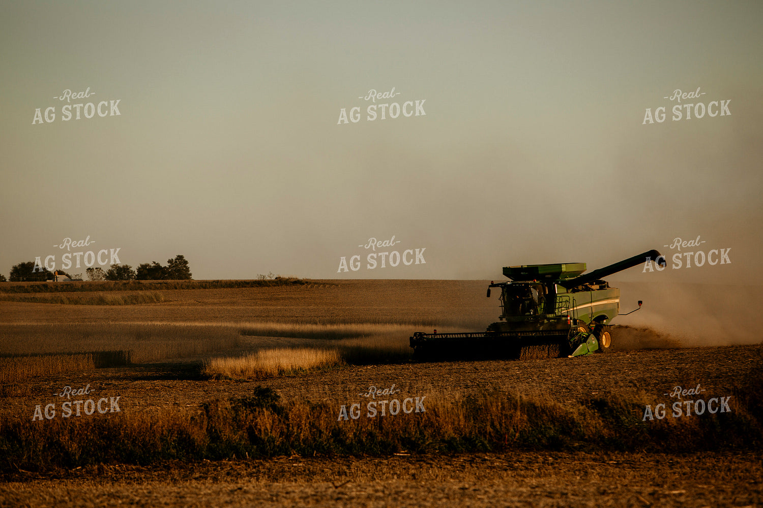 Harvest 2576