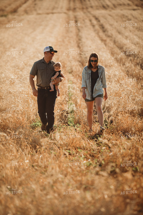 Farm Family Walking Soybean Field with Rye Cover Crop 5815