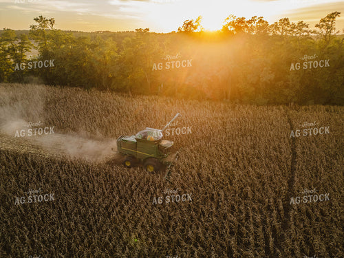 Aerial of Corn Harvest 115388