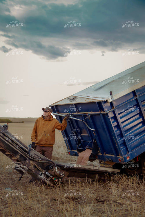 Farmer Unloading Truck into Auger 187374
