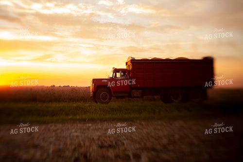 Harvest 1790