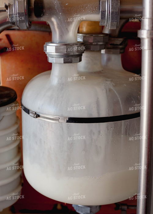 Milk Flows into Tank 132011