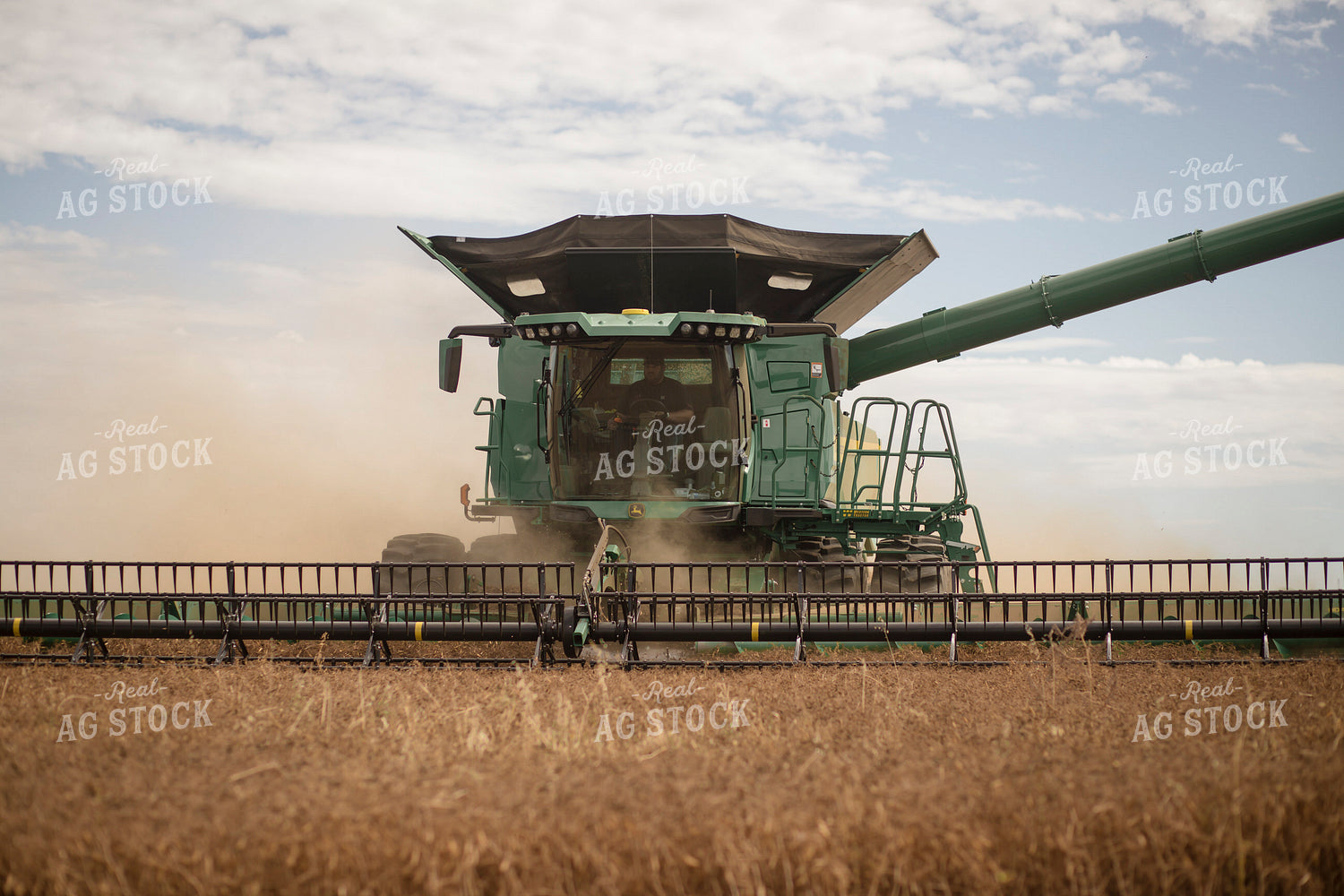 Wheat Harvest 135118
