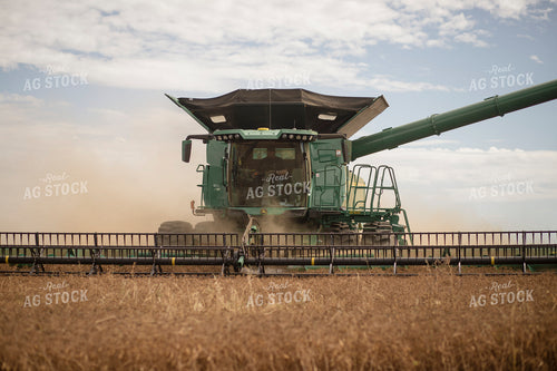 Wheat Harvest 135118