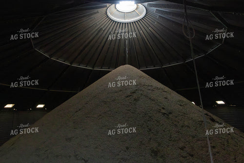 Grain in the Bin 79708