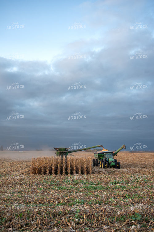 Combine Unloading onto Grain Cart at Sunset 76048