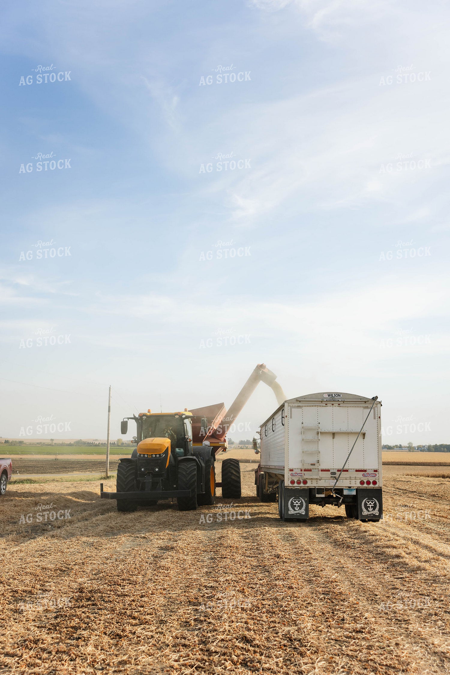 Soybean Harvest 152615