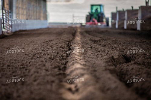 Laying Compost Bedding in Dairy Barn 270063