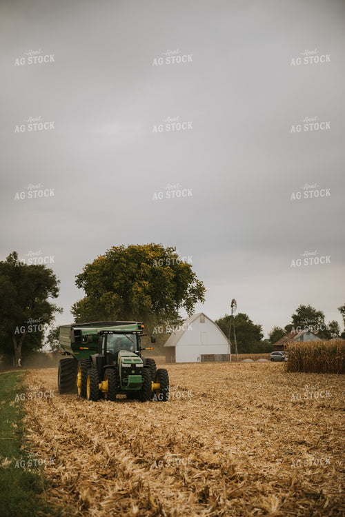 Corn Harvest 6643