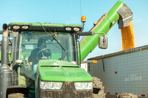Corn Harvest 114001