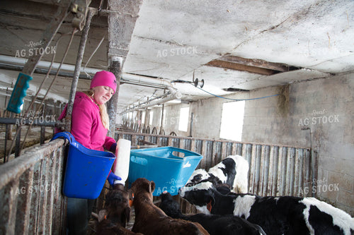 Dairy Calf Care 161014