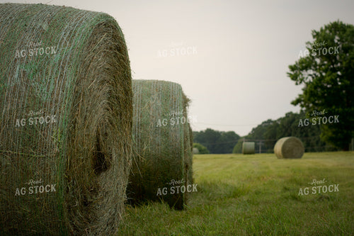 Round Hay Bales 251176