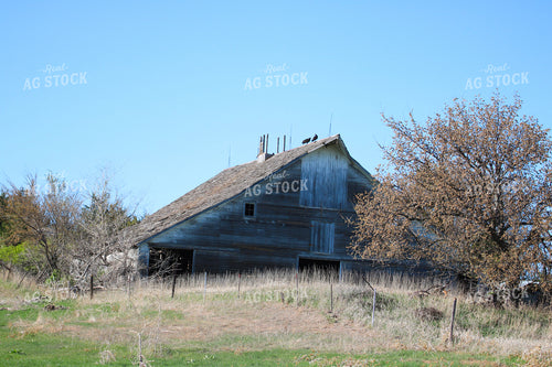 Wooden Barn 82224