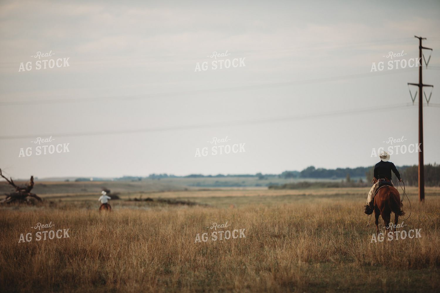 Ranchers in Pasture 6474