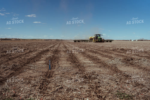 Planting Test Plot 196128