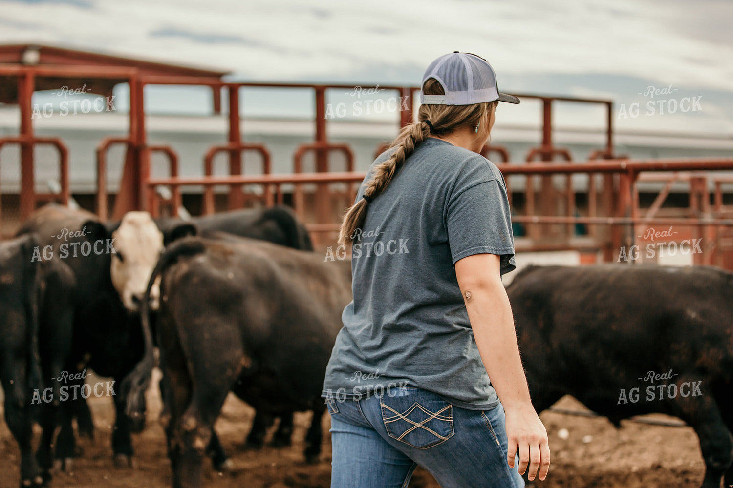 Farmer with Cattle 98024